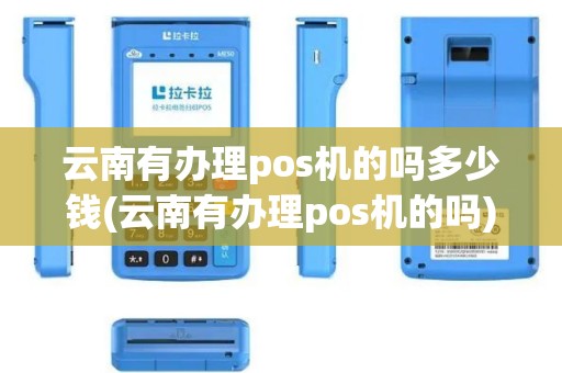 云南有办理pos机的吗多少钱(云南有办理pos机的吗)