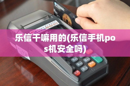 乐信干嘛用的(乐信手机pos机安全吗)