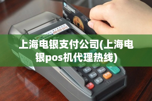 上海电银支付公司(上海电银pos机代理热线)