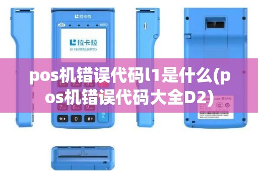 pos机错误代码l1是什么(pos机错误代码大全D2)