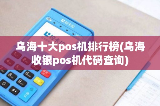乌海十大pos机排行榜(乌海收银pos机代码查询)