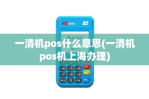 一清机pos什么意思(一清机pos机上海办理)