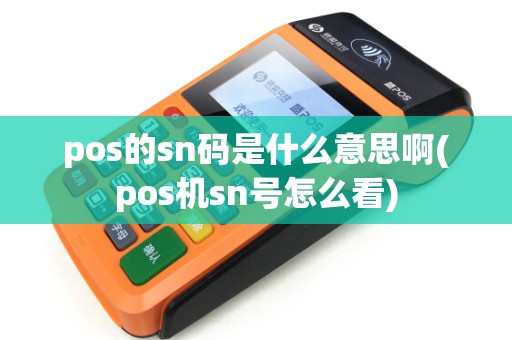 pos的sn码是什么意思啊(pos机sn号怎么看)