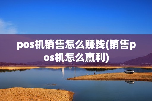 pos机销售怎么赚钱(销售pos机怎么赢利)