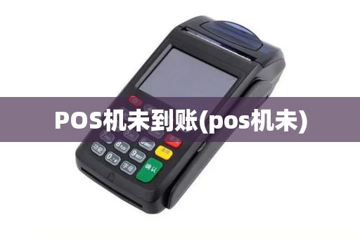 POS机未到账(pos机未)