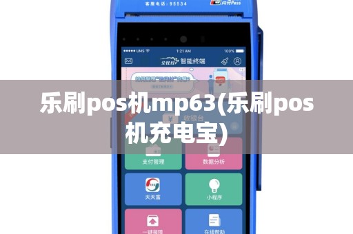 乐刷pos机mp63(乐刷pos机充电宝)