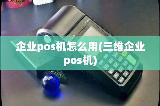 企业pos机怎么用(三维企业pos机)