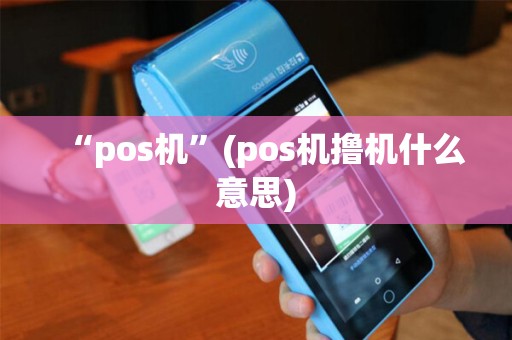 “pos机”(pos机撸机什么意思)