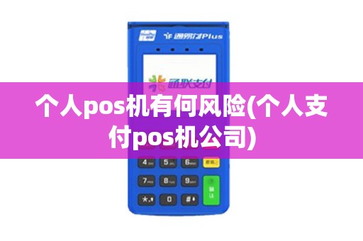 个人pos机有何风险(个人支付pos机公司)