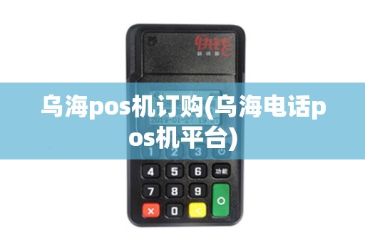 乌海pos机订购(乌海电话pos机平台)