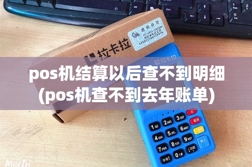 pos机结算以后查不到明细(pos机查不到去年账单)