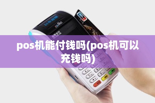 pos机能付钱吗(pos机可以充钱吗)