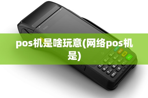 pos机是啥玩意(网络pos机是)