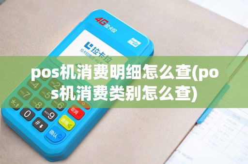 pos机消费明细怎么查(pos机消费类别怎么查)