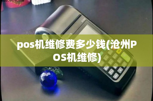 pos机维修费多少钱(沧州POS机维修)