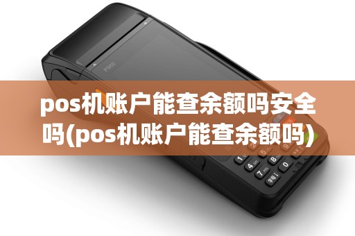 pos机账户能查余额吗安全吗(pos机账户能查余额吗)