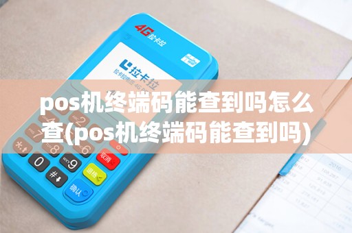 pos机终端码能查到吗怎么查(pos机终端码能查到吗)
