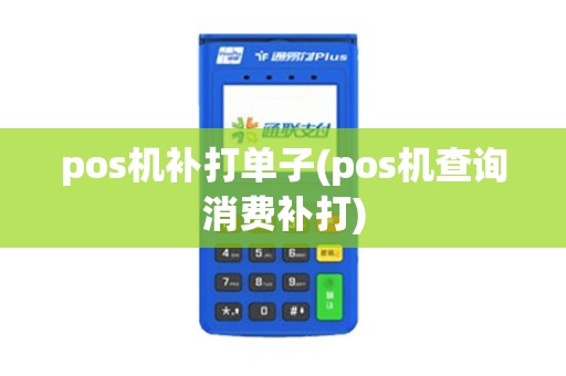 pos机补打单子(pos机查询消费补打)