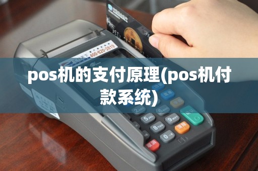 pos机的支付原理(pos机付款系统)