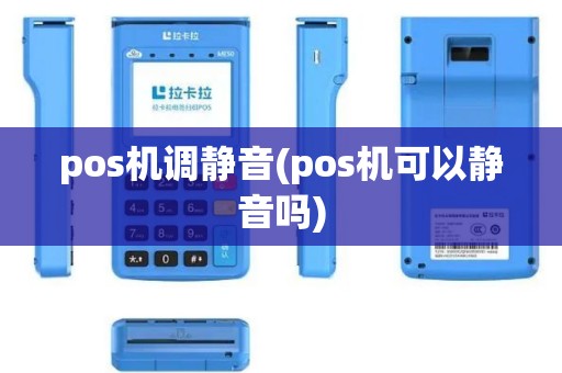 pos机调静音(pos机可以静音吗)