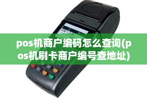 pos机商户编码怎么查询(pos机刷卡商户编号查地址)