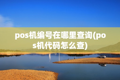 pos机编号在哪里查询(pos机代码怎么查)