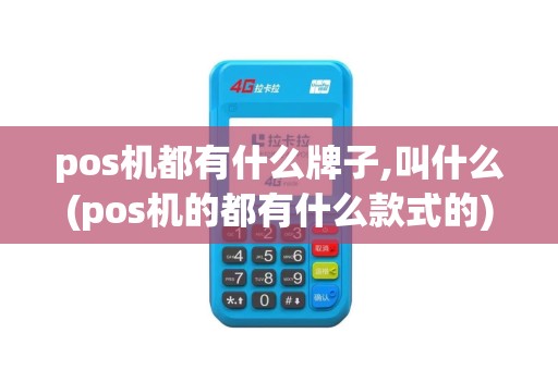 pos机都有什么牌子,叫什么(pos机的都有什么款式的)
