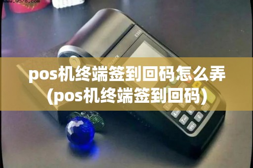 pos机终端签到回码怎么弄(pos机终端签到回码)