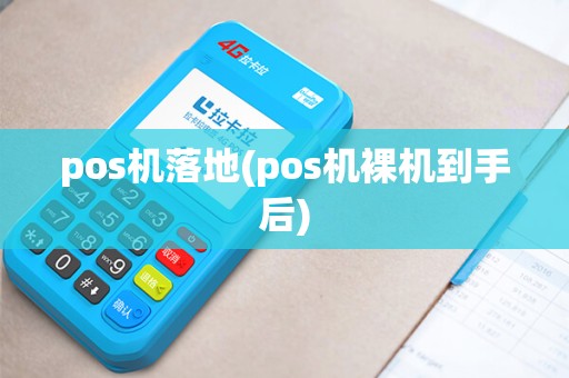 pos机落地(pos机裸机到手后)