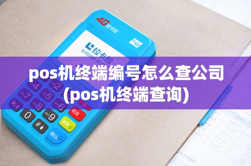 pos机终端编号怎么查公司(pos机终端查询)