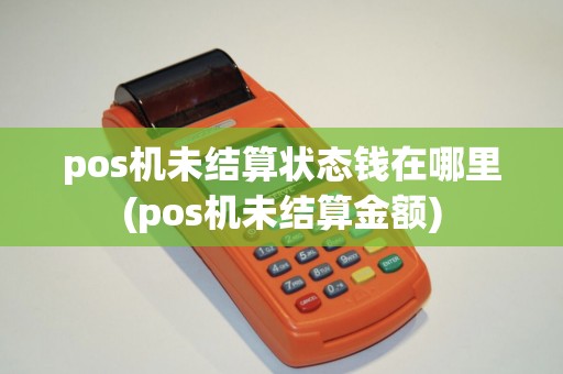 pos机未结算状态钱在哪里(pos机未结算金额)