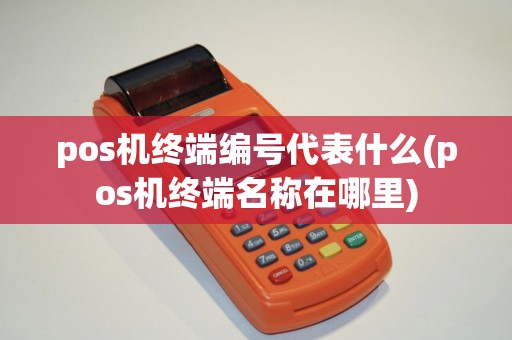 pos机终端编号代表什么(pos机终端名称在哪里)