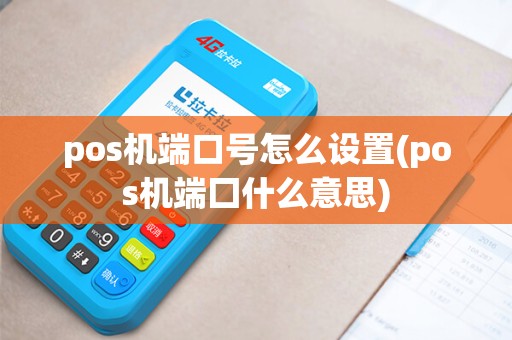 pos机端口号怎么设置(pos机端囗什么意思)