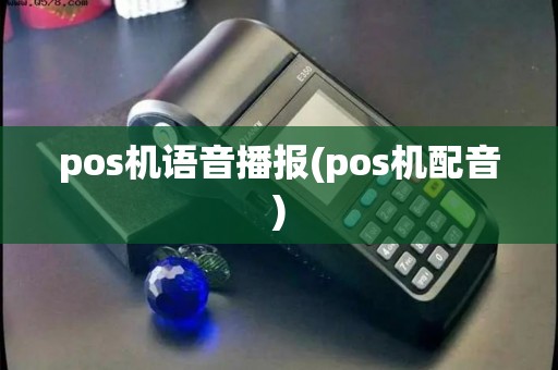 pos机语音播报(pos机配音)