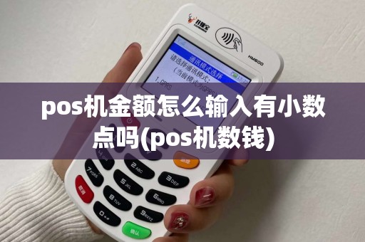 pos机金额怎么输入有小数点吗(pos机数钱)
