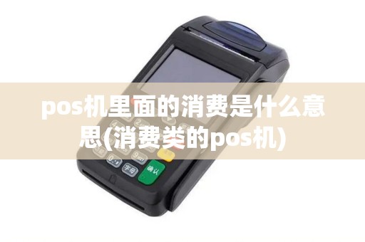 pos机里面的消费是什么意思(消费类的pos机)