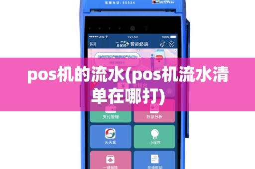 pos机的流水(pos机流水清单在哪打)