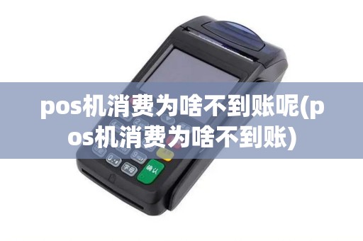 pos机消费为啥不到账呢(pos机消费为啥不到账)