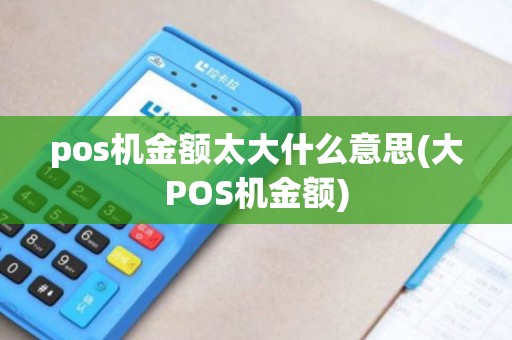 pos机金额太大什么意思(大POS机金额)