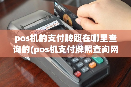 pos机的支付牌照在哪里查询的(pos机支付牌照查询网站)