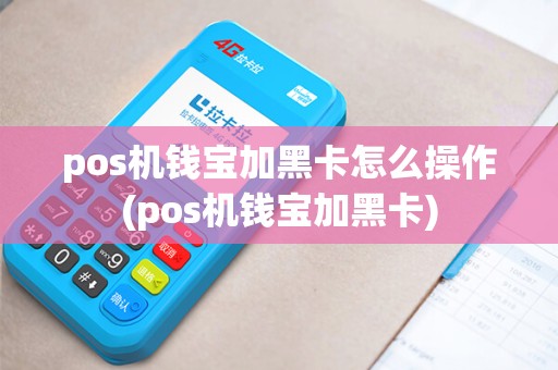 pos机钱宝加黑卡怎么操作(pos机钱宝加黑卡)