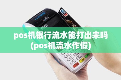 pos机银行流水能打出来吗(pos机流水作假)