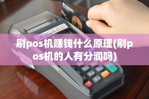 刷pos机赚钱什么原理(刷pos机的人有分润吗)