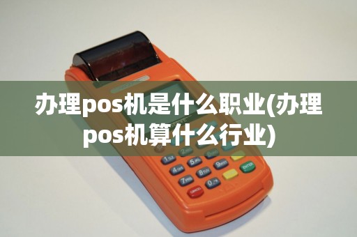 办理pos机是什么职业(办理pos机算什么行业)