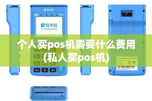 个人买pos机需要什么费用(私人买pos机)