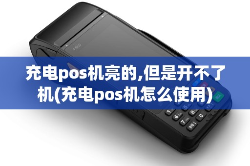充电pos机亮的,但是开不了机(充电pos机怎么使用)