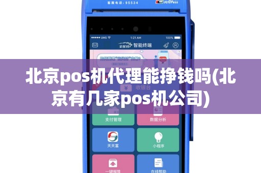 北京pos机代理能挣钱吗(北京有几家pos机公司)