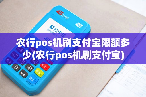 农行pos机刷支付宝限额多少(农行pos机刷支付宝)