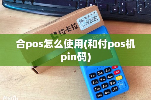合pos怎么使用(和付pos机pin码)