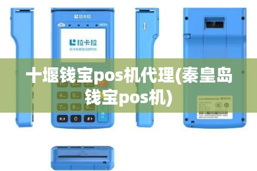 十堰钱宝pos机代理(秦皇岛钱宝pos机)